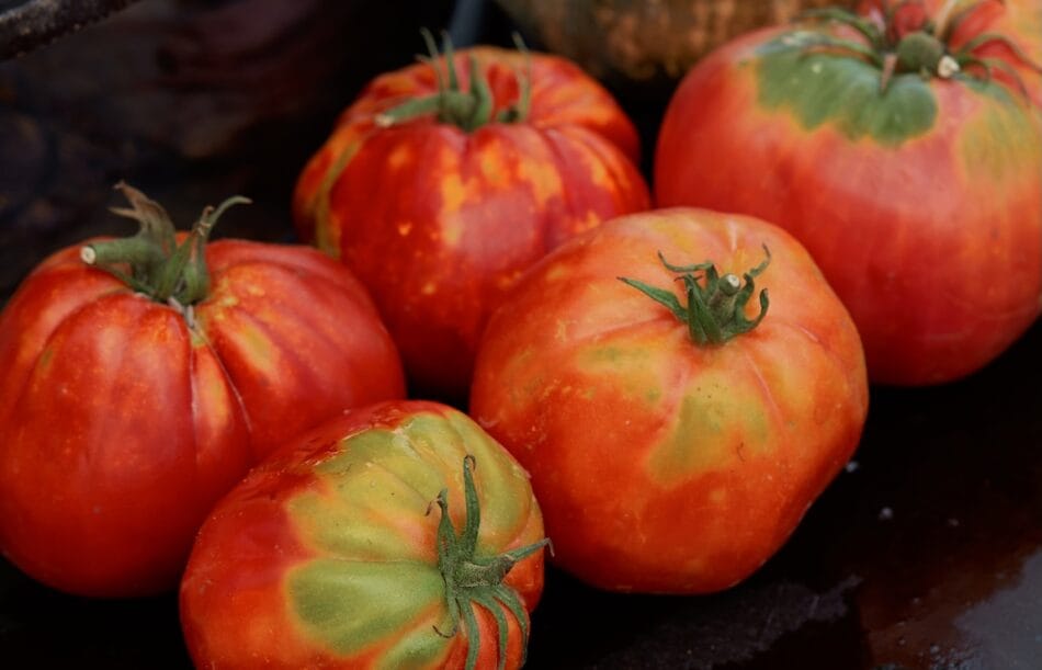 Mastrojanni Relais Ristorante4