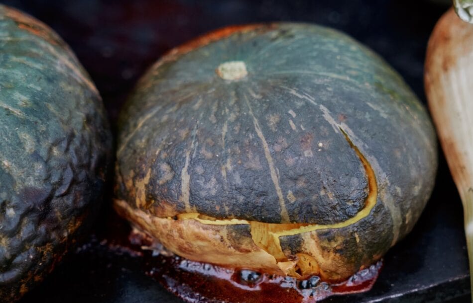 Mastrojanni Relais Ristorante11