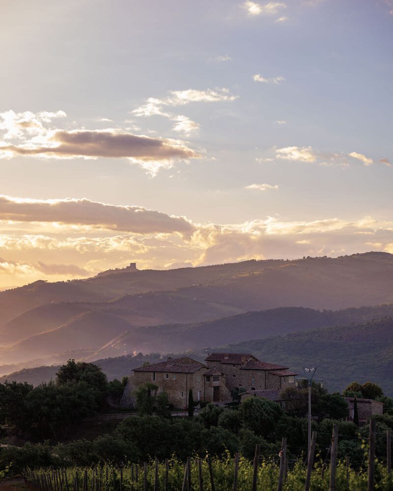 Panorama colline Montalcino